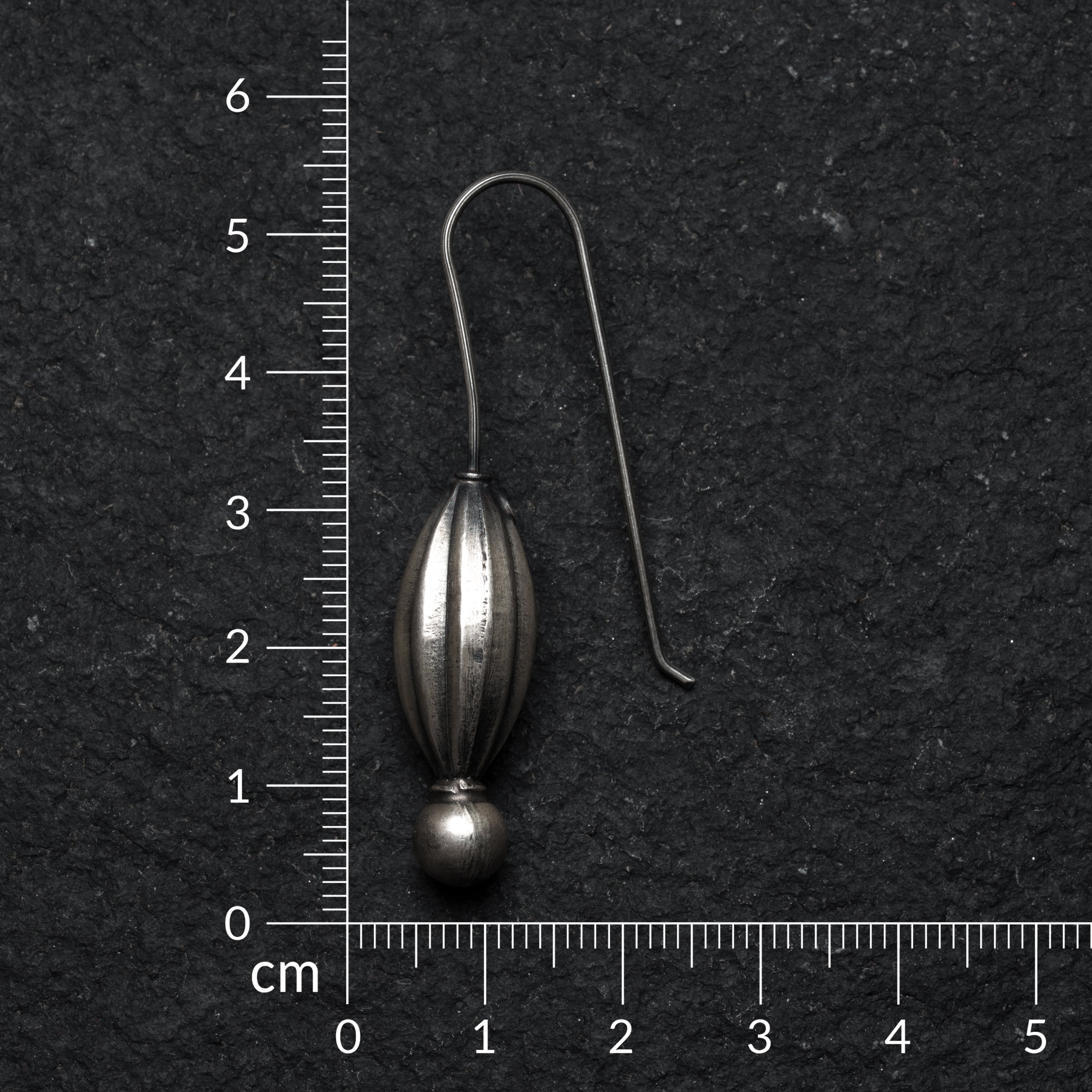 Jauvika Silver Earrings