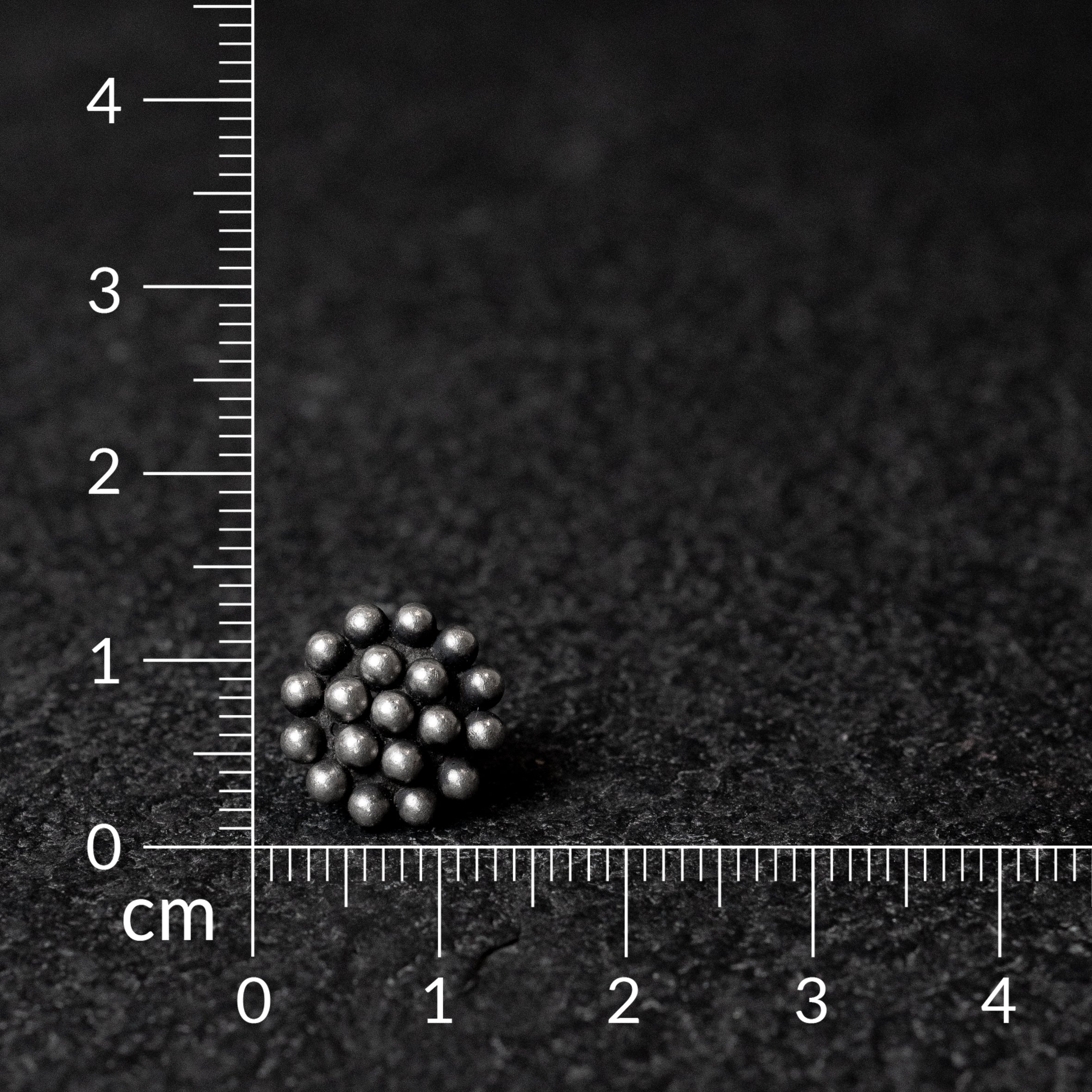 Rangphul Silver Studs